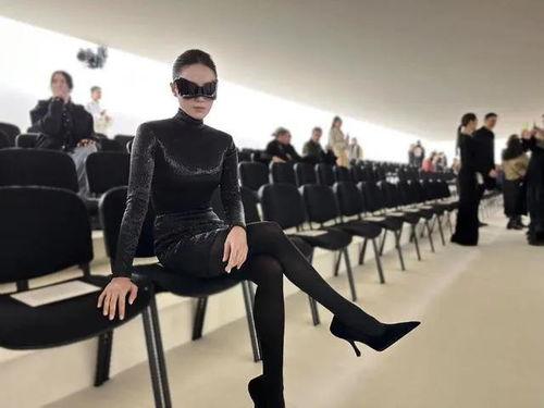 巴黎的猫人,探寻都市中的喵星人生活画卷